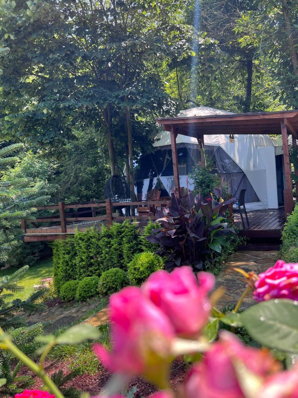 Hotel Me-Ga Glamping Sapanca Zewnętrze zdjęcie